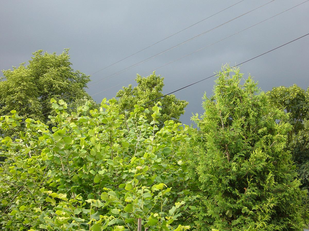 Krhová u Valašského Meziříčí